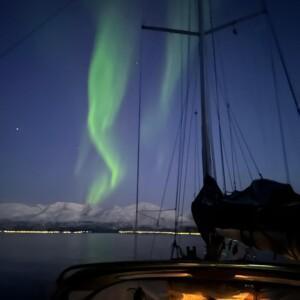 Whales & Northern Lights Sailing Expedition - 4 days